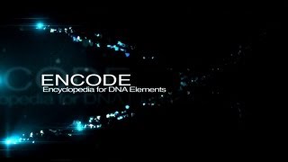 ENCODE The Encyclopedia of DNA Elements [upl. by Ialohcin]