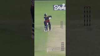 Shadley van Schalkwyk finishing off USAvNEP in style 🇺🇸 YTShorts CricketShorts [upl. by Melgar190]