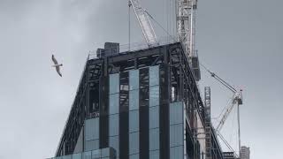 1 Leadenhall Street London England UK June 22 2024 [upl. by Lipinski24]