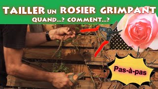 TAILLER un ROSIER GRIMPANT  Quand  Comment [upl. by Dione]