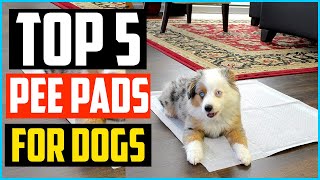 ✅Top 5 Best Pee Pads For Dogs Review In 2024 [upl. by Dammahom]