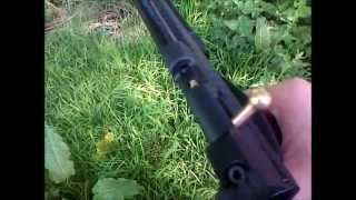 Crosman Ratcatcher 2250B [upl. by Morie119]