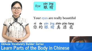 Learn Parts of the Body in Mandarin  Vocab Lesson 13  Chinese Vocabulary Builder Series [upl. by Avruch]