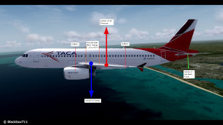 FSLabs A320 Basics Center of Gravity and Trim Setting [upl. by Brennan]