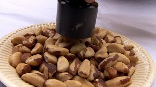 Are Brazil Nuts Radioactive  Bang Goes the Theory  BBC Studios [upl. by Yhtommit]