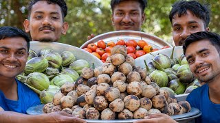 LITTI CHOKHA  Bihars Famous Litti Chokha Recipe  Village Rasoi [upl. by Malachi]