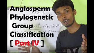 Angiosperm Phylogenetic Classification Part IV [upl. by Gilder170]