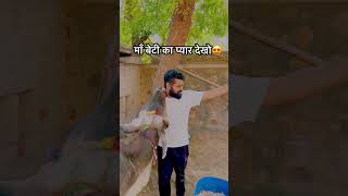 माँ बेटी का प्यार देखो😍cow cows cowvideos youtubeshorts shorts viralshorts gaiya ytviral [upl. by Dielu]