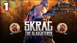 THE SLAUGHTERER RISES Total War Warhammer 3  Skrag the Slaughterer  Ogre Kingdoms Campaign 1 [upl. by Jerrie]