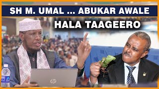 Sh M Umal  Abukar Awale halagu taageero Joojinta Qaadka [upl. by Enymsaj748]