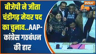 Chandigarh Mayor Election Result BJP ने जीता चंडीगढ़ मेयर पद का चुनावAAPकांग्रेस गठबंधन की हार [upl. by Aiclid]