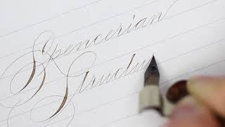 Beginner Spencerian Online Course Open for Registration at ConnieChencom [upl. by Renelle]