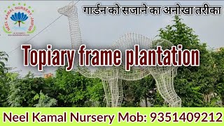 Plantation in Topiary frame  Animal Topiary frame plantation  Neel Kamal Nursery Mob 9351409212 [upl. by Yaned]