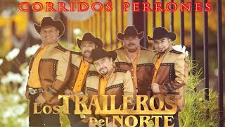 Los Traileros Del Norte Mix Nortenas y Corridos Viejitos 30 Exitos Originales [upl. by Liane341]