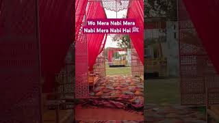 Wo Mera Nabi Mera Nabi Mera Nabi Hai ﷺ shortsvideo naat islamicvideo youtubeshorts [upl. by Yenahpets]