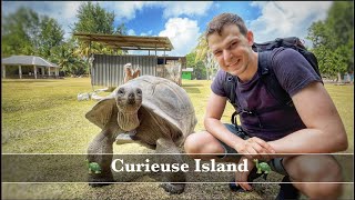 Curieuse Island Seychelles  Island of the Giant Tortoises  4k [upl. by Deuno]