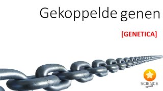 Gekoppelde genen  GENETICA [upl. by Conti]