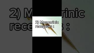 Acetylcholine receptors Muscarinic receptors شرح لمادة الفيسيولوجي بالعربي [upl. by Anatlus]