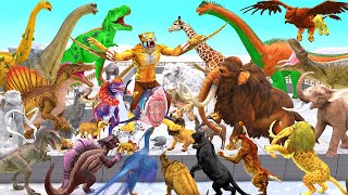 Dinosaurs vs Animals vs Saber Tooth Tiger Vs Mammoth Speed Race Zigzag Course Animal Revolt Battle [upl. by Boggers622]