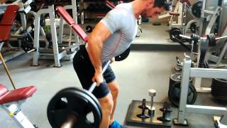 David Costa  Fitness Model  Rowing barre pronation [upl. by Ettenwad]