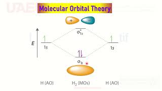 Molecular Orbital theory HomoNuclear diatomic Mol Orbital Mixing Bond Order Paramagnetic Diamagnetic [upl. by Nyltiac302]