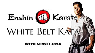 Enshin Karate  White Belt Kata [upl. by Bushweller]