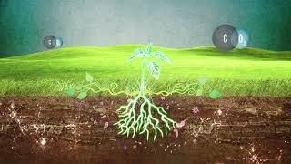 Soil Regeneration with REGENiGROW [upl. by Naujaj]