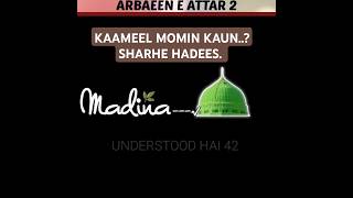 KAAMEEL MOMIN KAUN ¦ ARBAEEN E 2 ¦ SHARHE HADEES ¦ Mainnahinhoon [upl. by Nema]