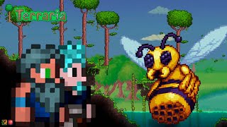 Terraria 5 Adentrándonos en la jungla por primera vez 02082024 [upl. by Aratihc]