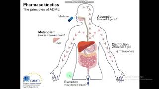 PharmacokineticsADMETRoutes of Drug Administration Physicochemical properties Medicinal Chem5 [upl. by Charmian261]