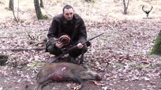 Spoločná poľovačka na diviaky Lakšárska Nová Ves  Common hunting for wild boar [upl. by Radburn262]