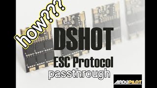 how to setup dshot ESC protocol and blheli passthrough on ardupilot [upl. by Dazraf]