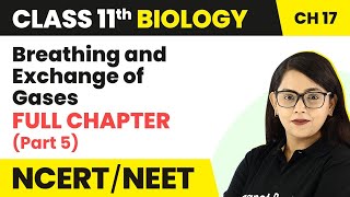 Breathing and Exchange of Gases Full Chapter Explanation Part 5 Class 11 Biology Ch 17 NCERTNEET [upl. by Cappello]