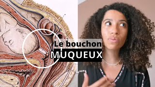 Le bouchon muqueux [upl. by Ensign]