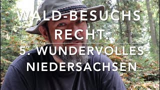 Niedersachsen  Waldbesuchsrecht nach Bundesländern 5 [upl. by Myke]