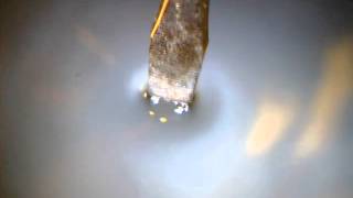 microscope video shows the surface tension of water [upl. by Trauts]