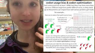 Codon Optimization amp Codon Usage Bias [upl. by Elaweda]