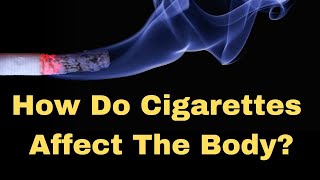 How Do CIGARETTES Affect The Body Why Give Up Smoking [upl. by Anerom646]