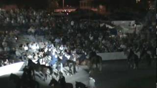 Horse that thought he should have won at the Celebration [upl. by Ninos]