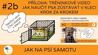 02b Jak naučit psa zůstávat v kleci krok za krokem tréninkové video [upl. by Kiernan]