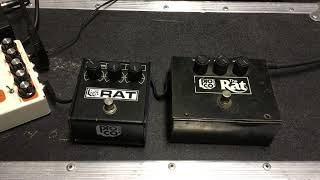 Our Favorite ProCo Rats on bass [upl. by Chun]