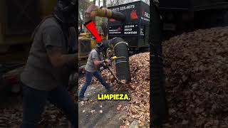 La limpieza de hojas en la calle ¿beneficio o daño para la naturaleza shorts [upl. by Imehon919]