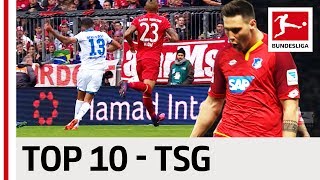 Top 10 Goals  TSG 1899 Hoffenheim  201617 Season [upl. by Aerdnua]