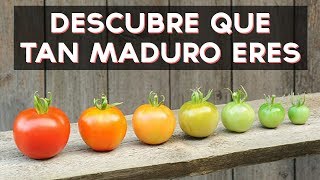 ¿Qué tan maduro eres  Test Divertidos [upl. by Dorothi]