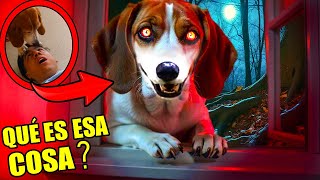 MI PERRA SABE HABLAR con BOTONES… NUNCA LE PREGUNTES 😱🐶 El PERRO de Mi Vecina NO ES HUMANO [upl. by Suter571]