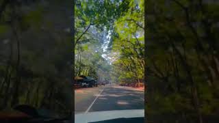 Koskale à¶šà·™à·à·ƒà·Šà¶šà·à¶½à·™à·Š Melsiripura  Dambulla  Kurunegala Road  Sri Lanka ğŸŒ³â™¥ï¸ğŸ’« [upl. by Jaquelyn]