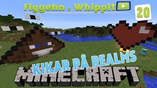 figgehn amp Whippit kollar in era Minecraft Realms 20 FIGGEHN BLIR ÄGD [upl. by Ailecara]