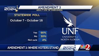 Polls show Floridas recreational marijuana amendment on track to pass [upl. by Hambley]