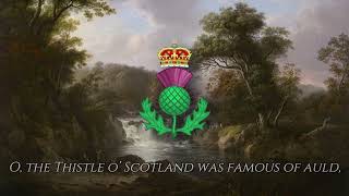 The Thistle Of Scotland  Scottish Folk Song [upl. by Cooperstein]