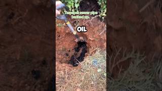 Thats a lotta oil 😅 shorts viralvideo satisfying [upl. by Premer]